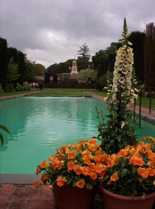 The Filoli Pool