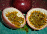 Passion Fruit