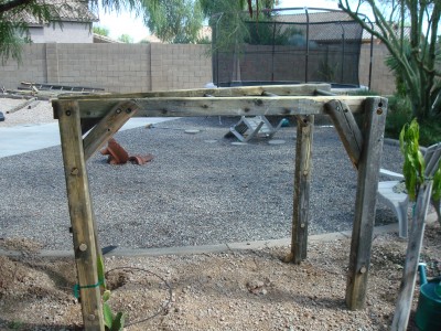 Dragon+fruit+trellis