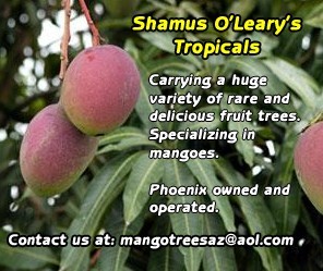 Shamus O'Leary's Tropicals