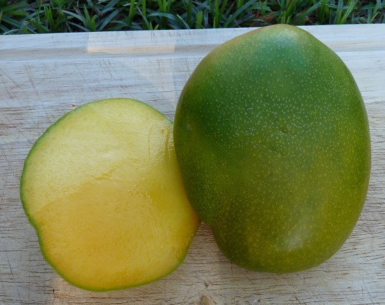 Keitt Mango Fruit