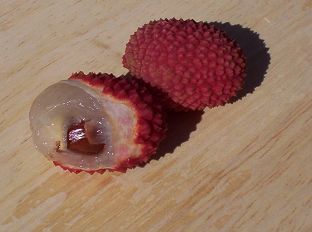 Lychee Fruit