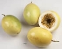Frederick Passion Fruit