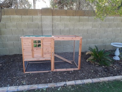 Our chicken coop