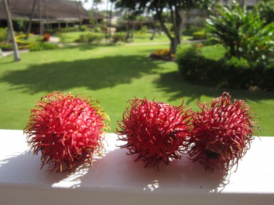 Rambutan!!