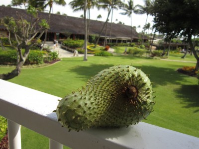 Soursop